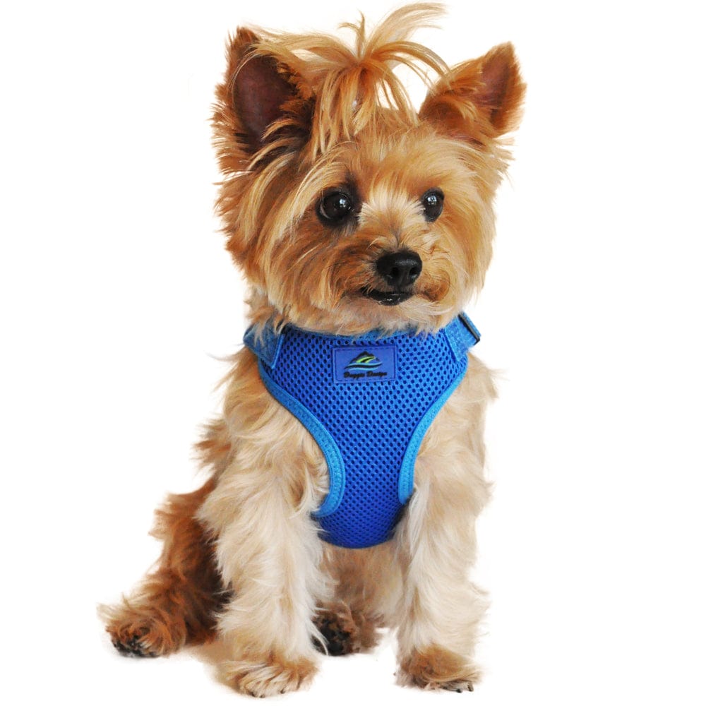 Wrap and Snap Choke Free Small Dog Harness on a Dachshund-Blue