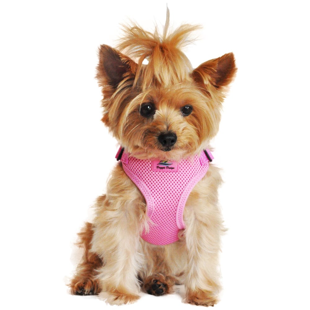 Wrap and Snap Choke Free Small Dog Harness on a Dachshund-Pink