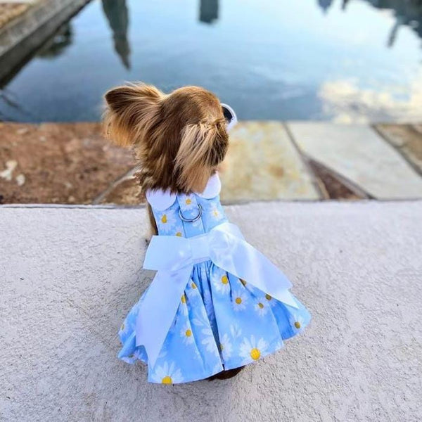 blue-daisy-dog-dress-with-