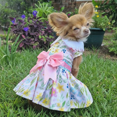 Pastel Meadow Dog Dress with Matching Leash | Sizes for dogs 3 to