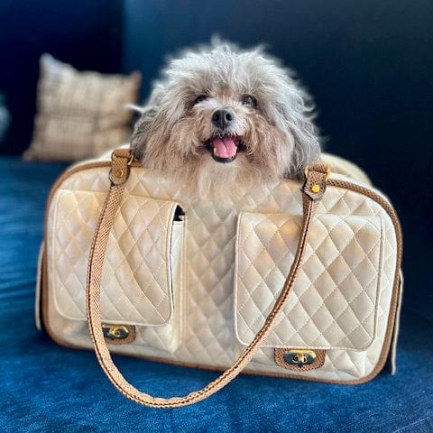 Petote Marlee Designer Dog Purse - Ivory Quilted with fluffy dog inside