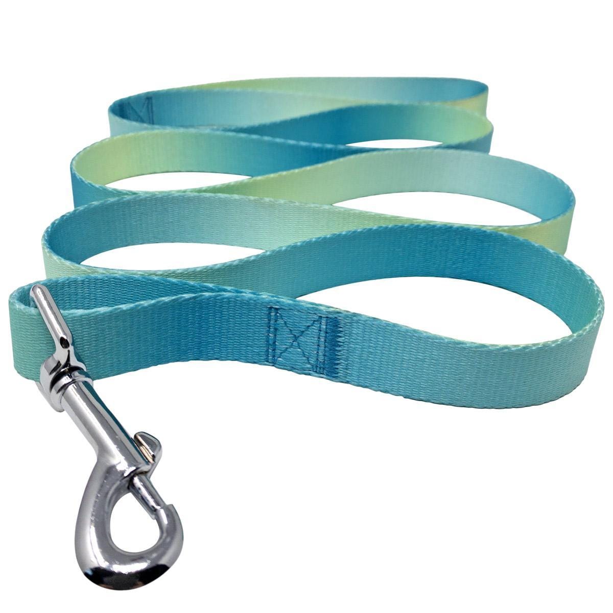 Aruba Blue American River Dog Leash