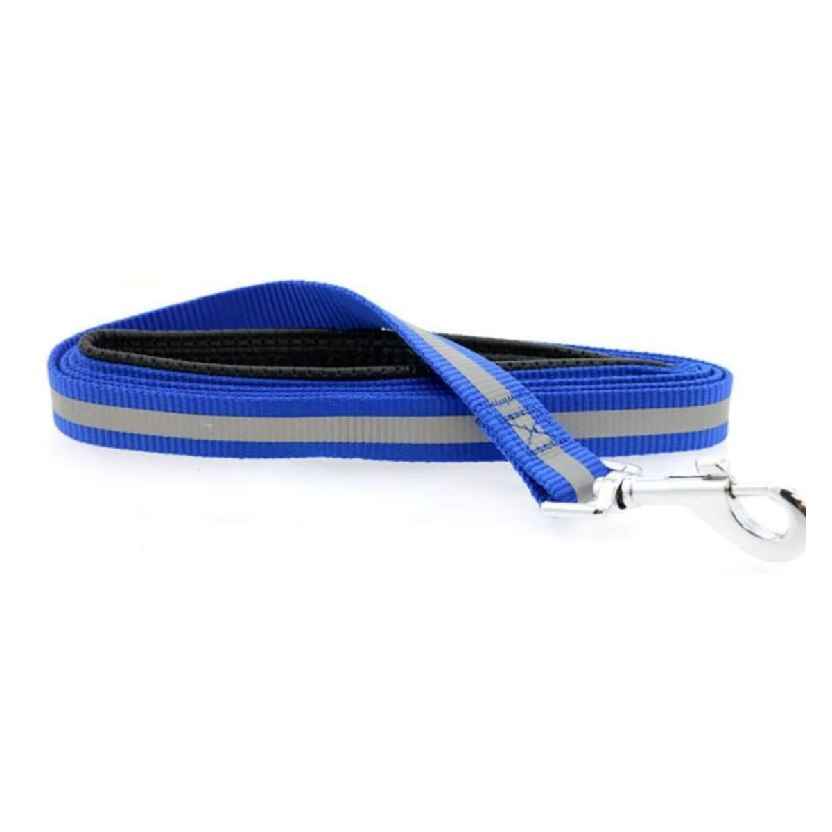 American River Reflective Dog Leash - Blue