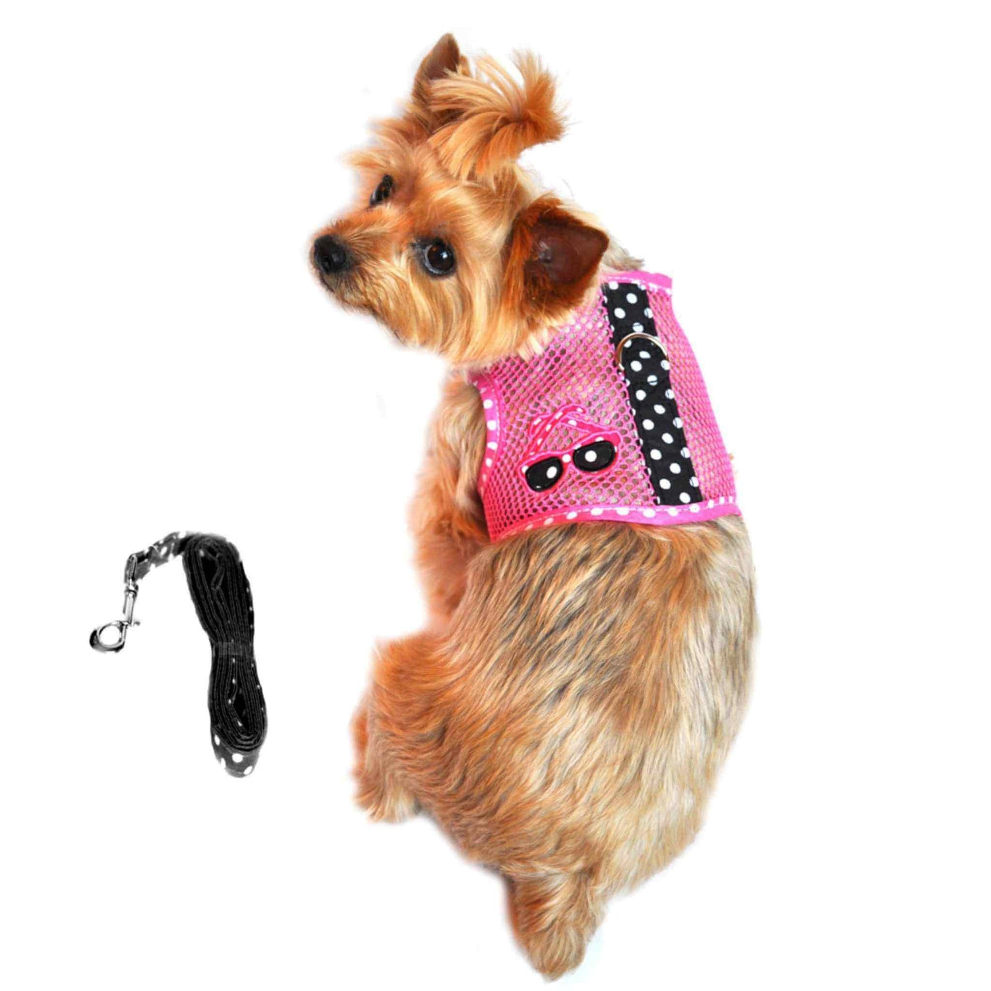 Cool Mesh Dog Harness - Sunglasses Pink and Black Polka Dot on a yorkie