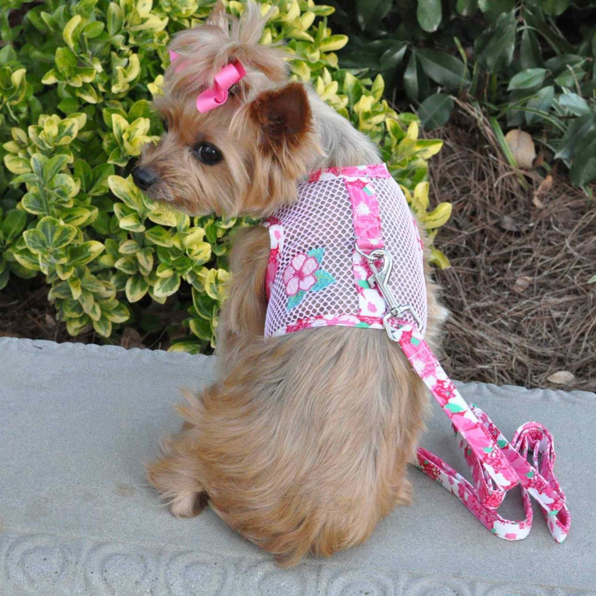 Cool Mesh Dog Harness - Pink Hawaiian Hibiscus - on a Yorkie