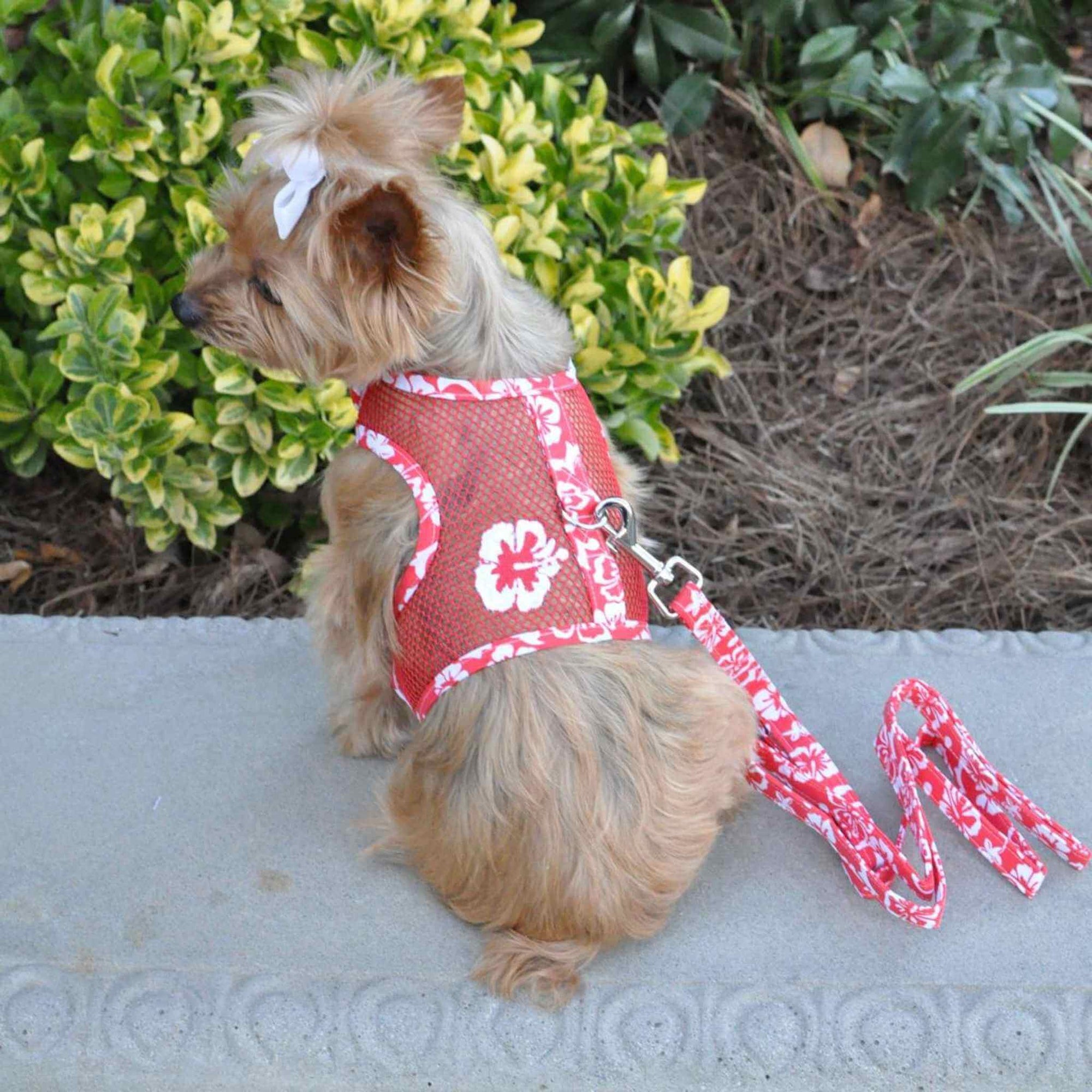 Cool Mesh Dog Harness - Red Hawaiian Hibiscus - On a Yorkie