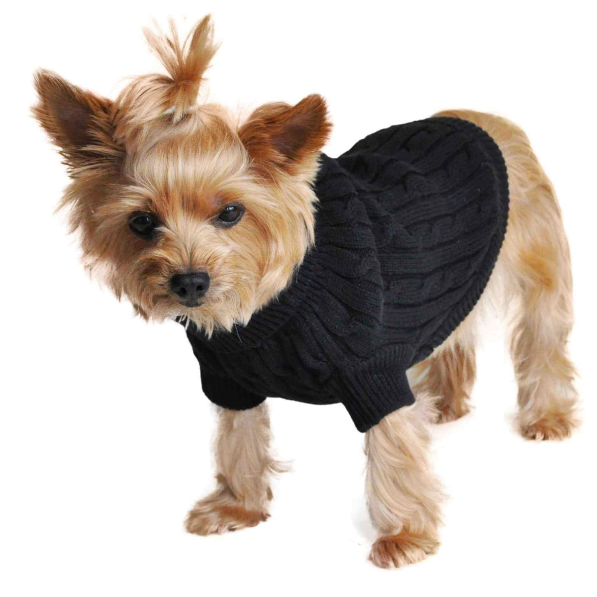 Combed Cotton Cable Knit Dog Sweater - Black on a Yorkie