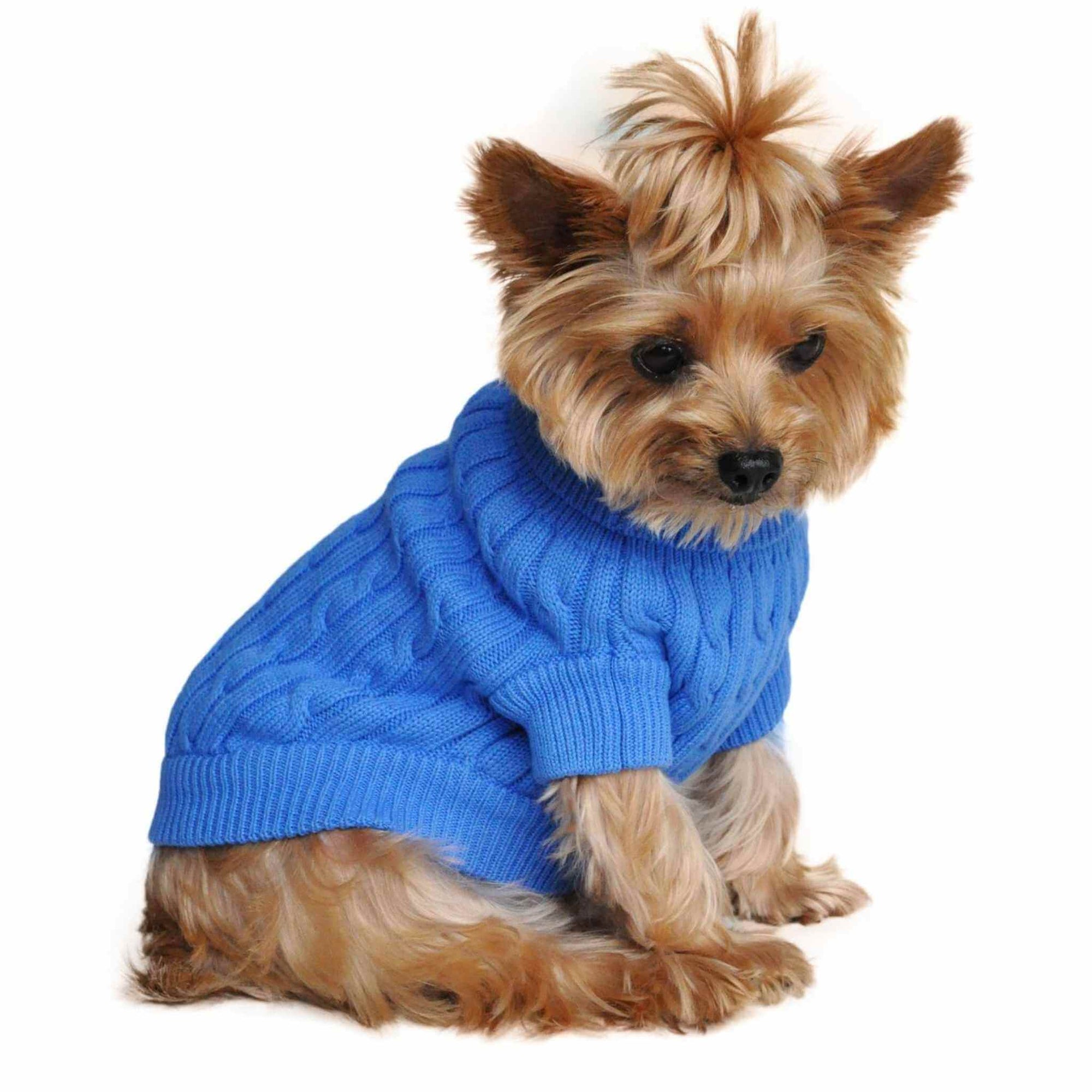 Combed Cotton Cable Knit Dog Sweater - Blue on a Yorkie