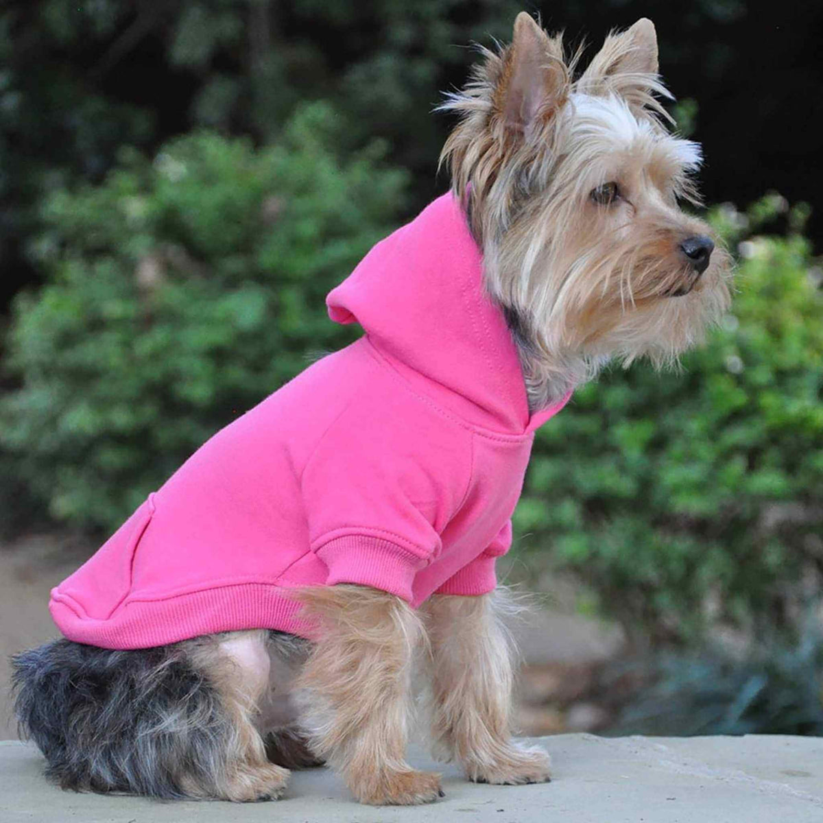 Doggie Design Dog Hoodie - Pink on a Yorkie - side view