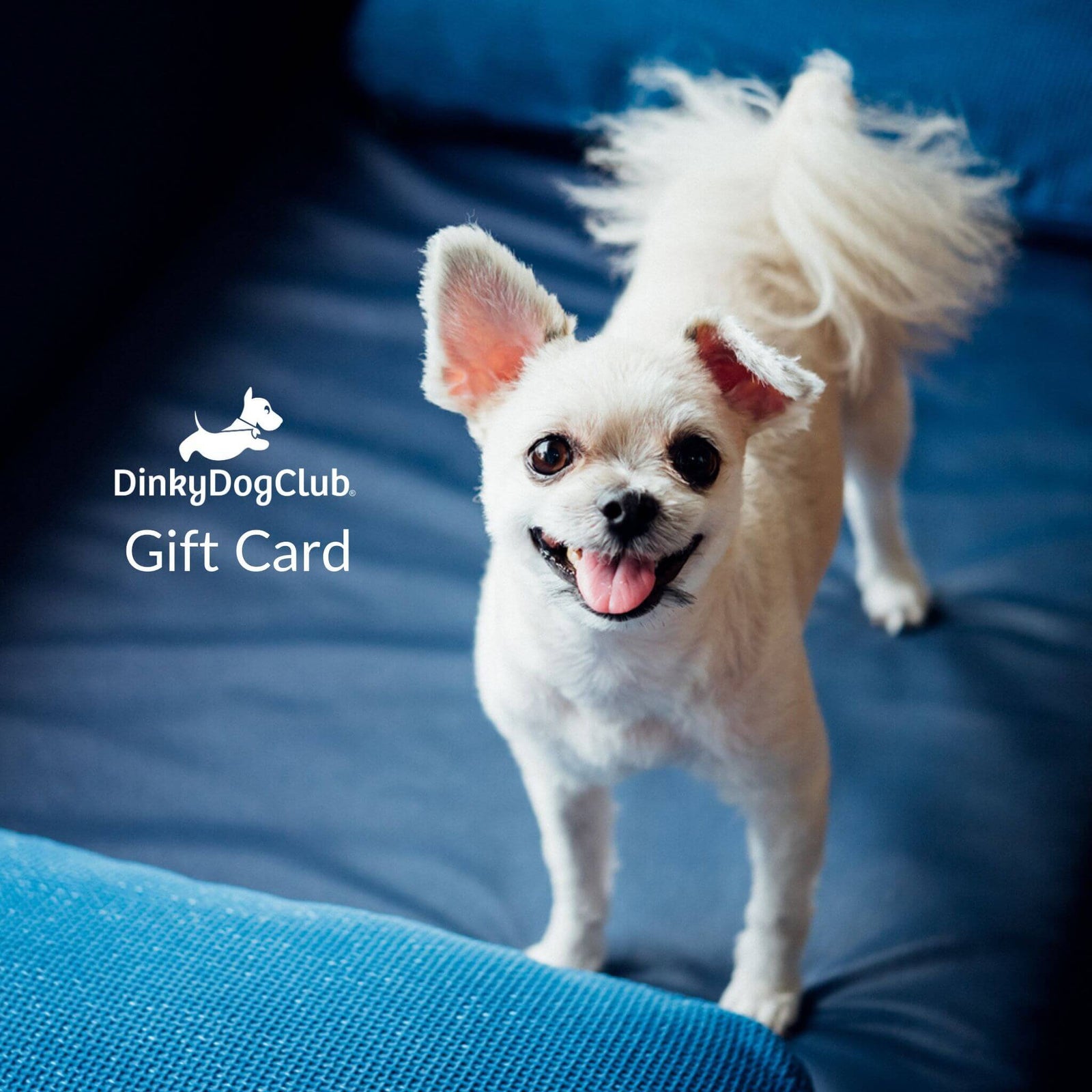 DinkyDogClub Gift Card