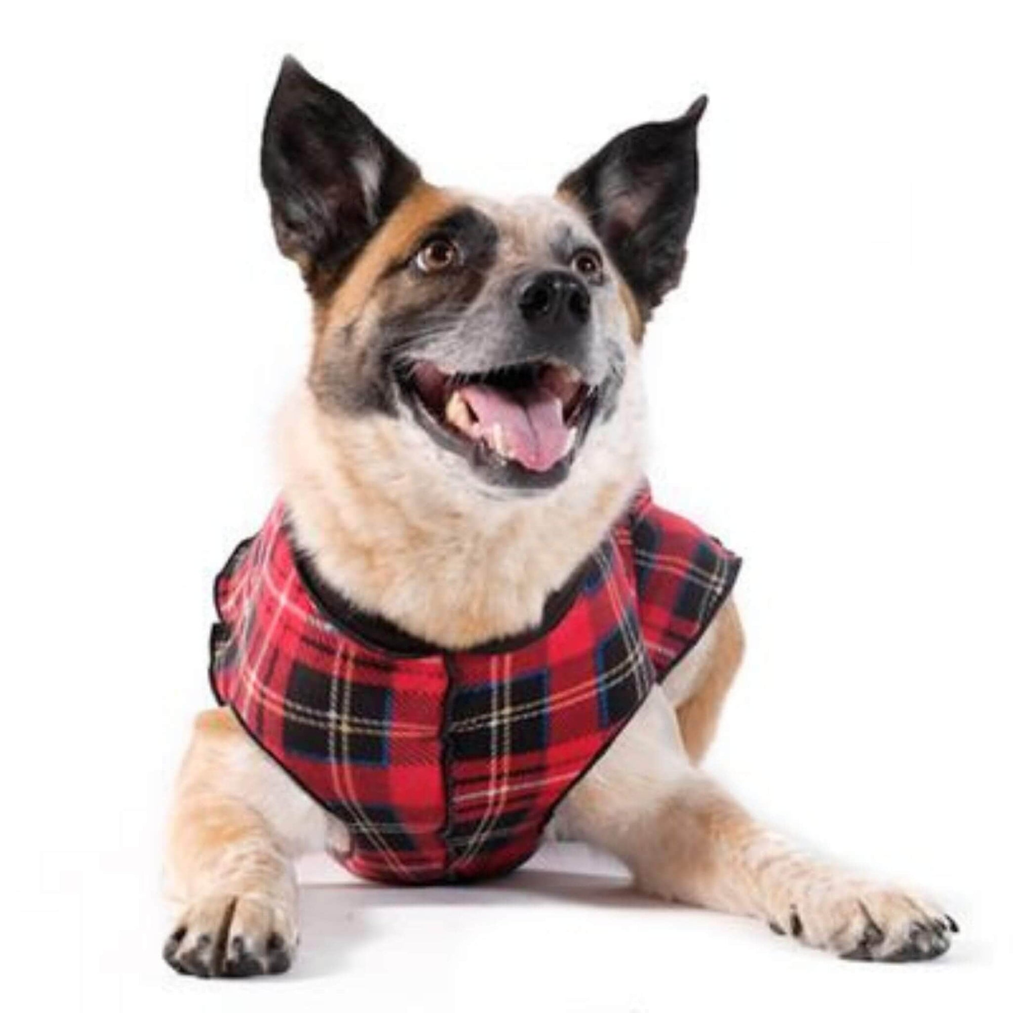 Gold Paw Series Duluth Double Fleece for Dogs - Red Tartan