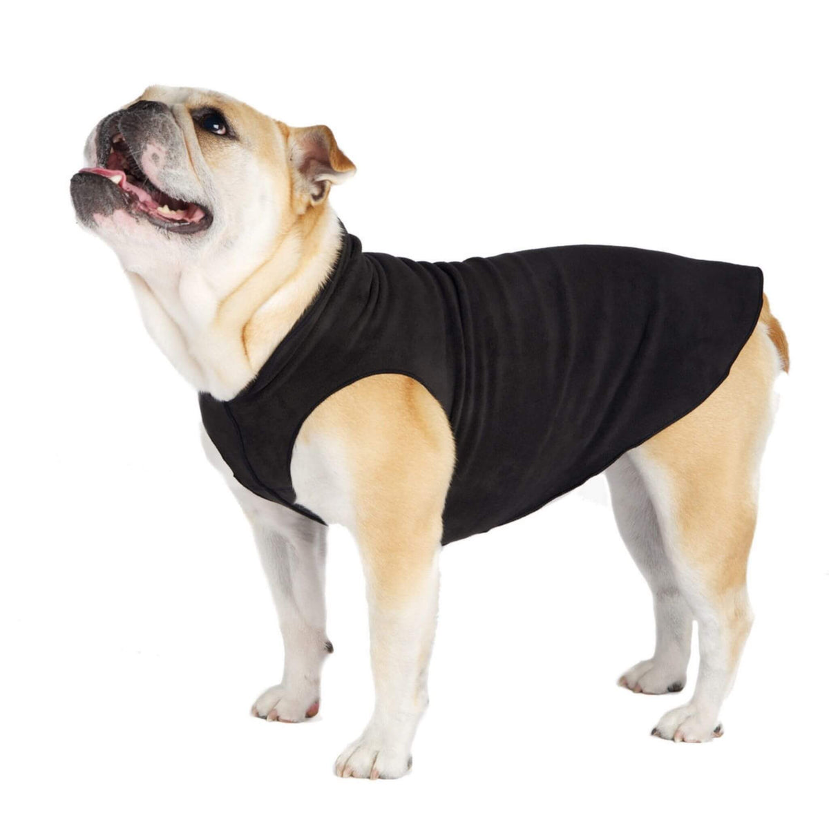Gold Paw Series Stretch Fleece for Small Dogs - Black