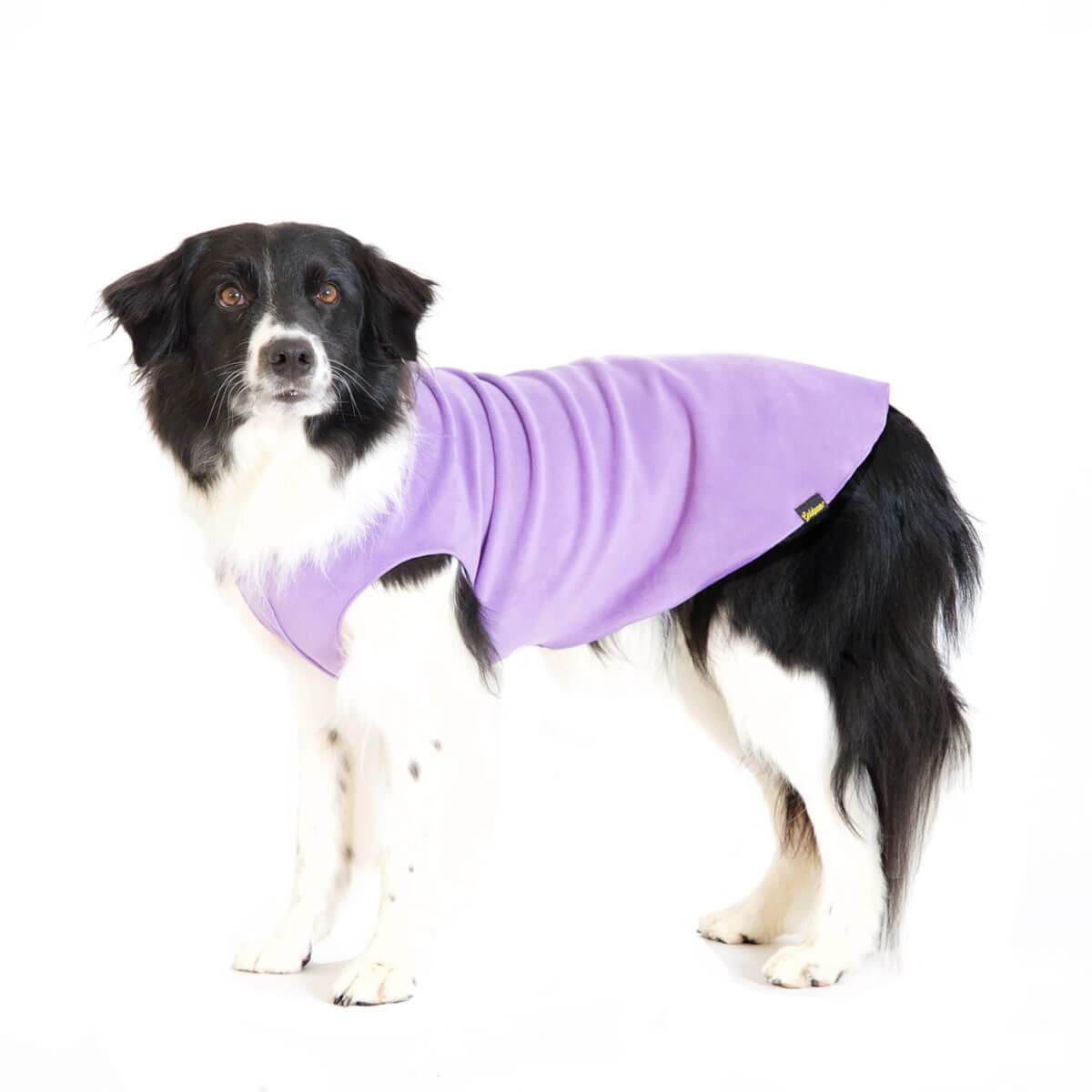 Gold Paw Series Stretch Fleece for Small Dogs - Lavender