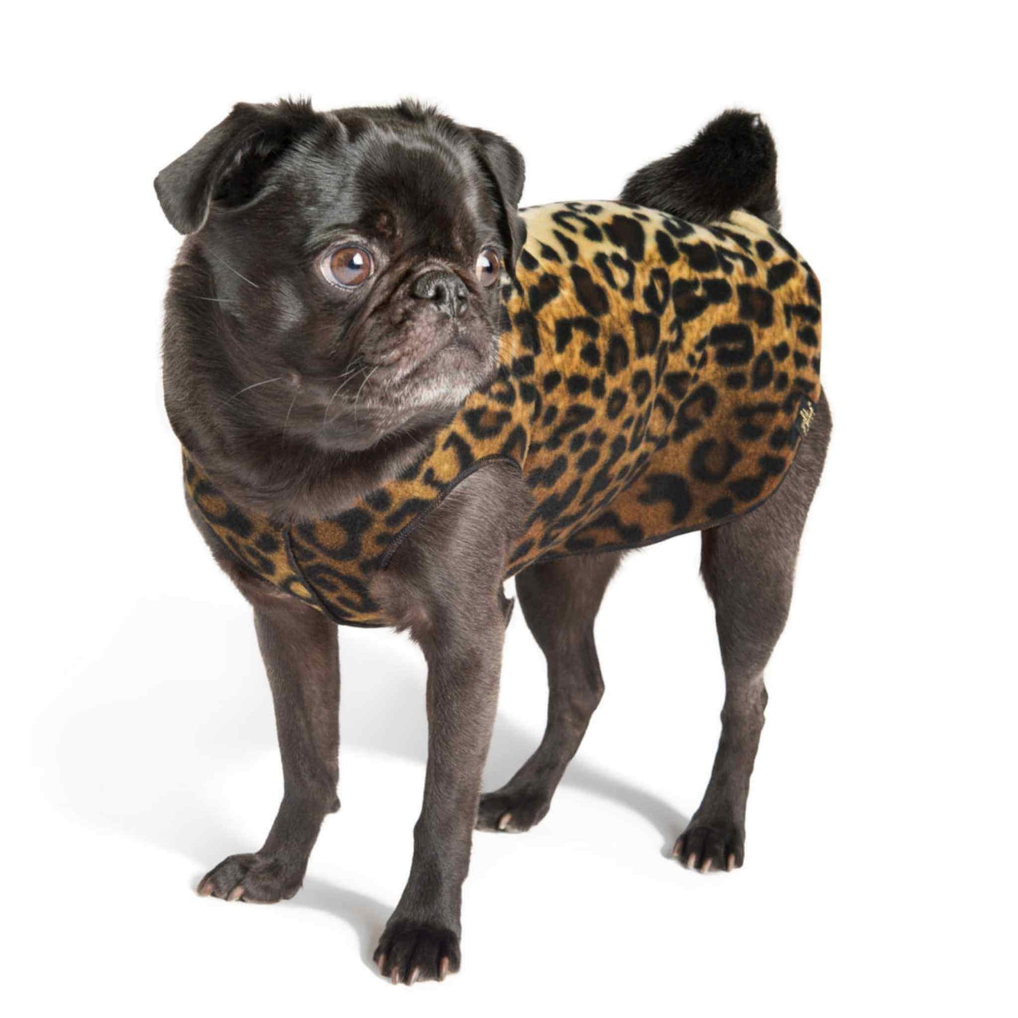 Gold Paw Series Stretch Fleece for Small Dogs - Leopard