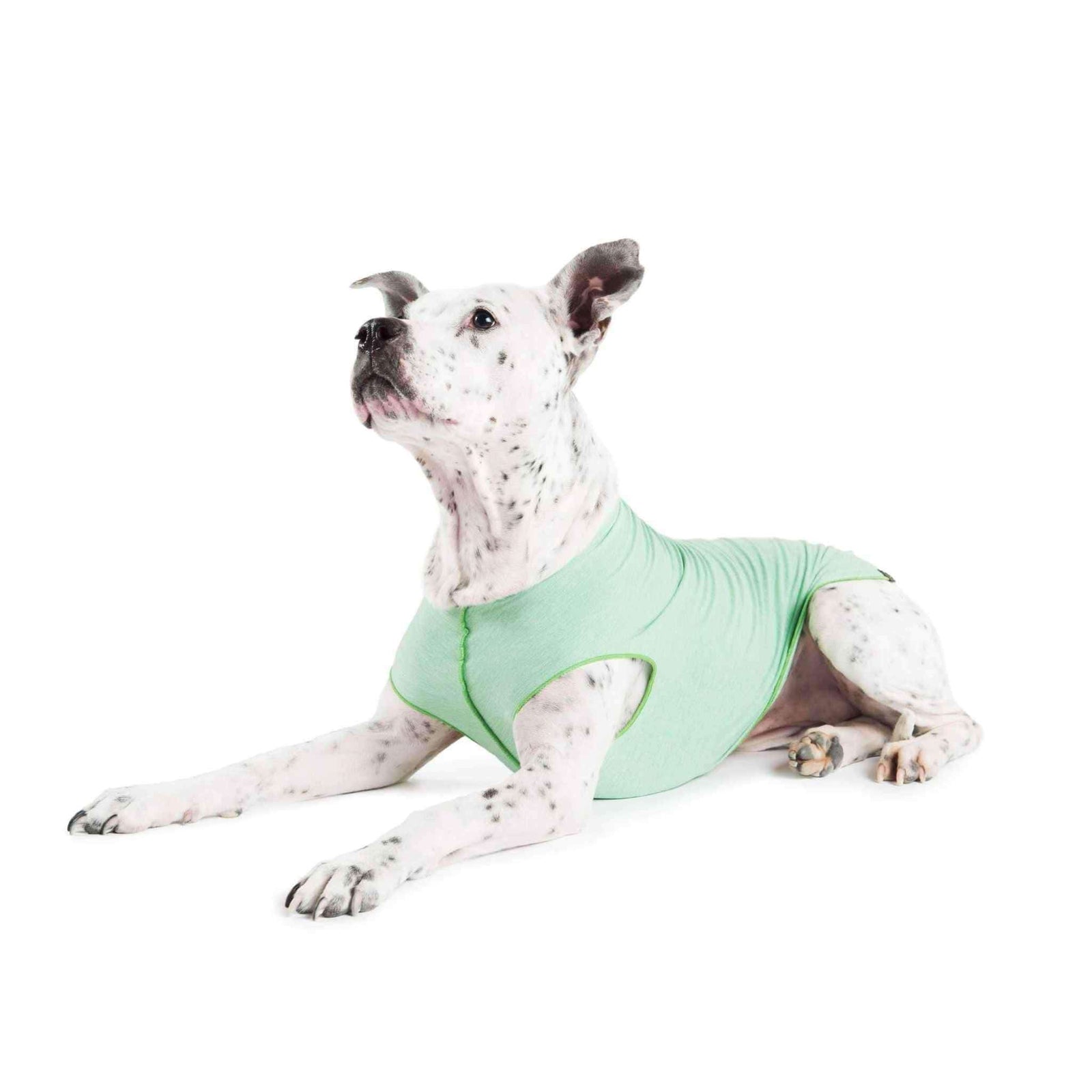 Gold Paw Series Dog Sun Shirt - Pistachio