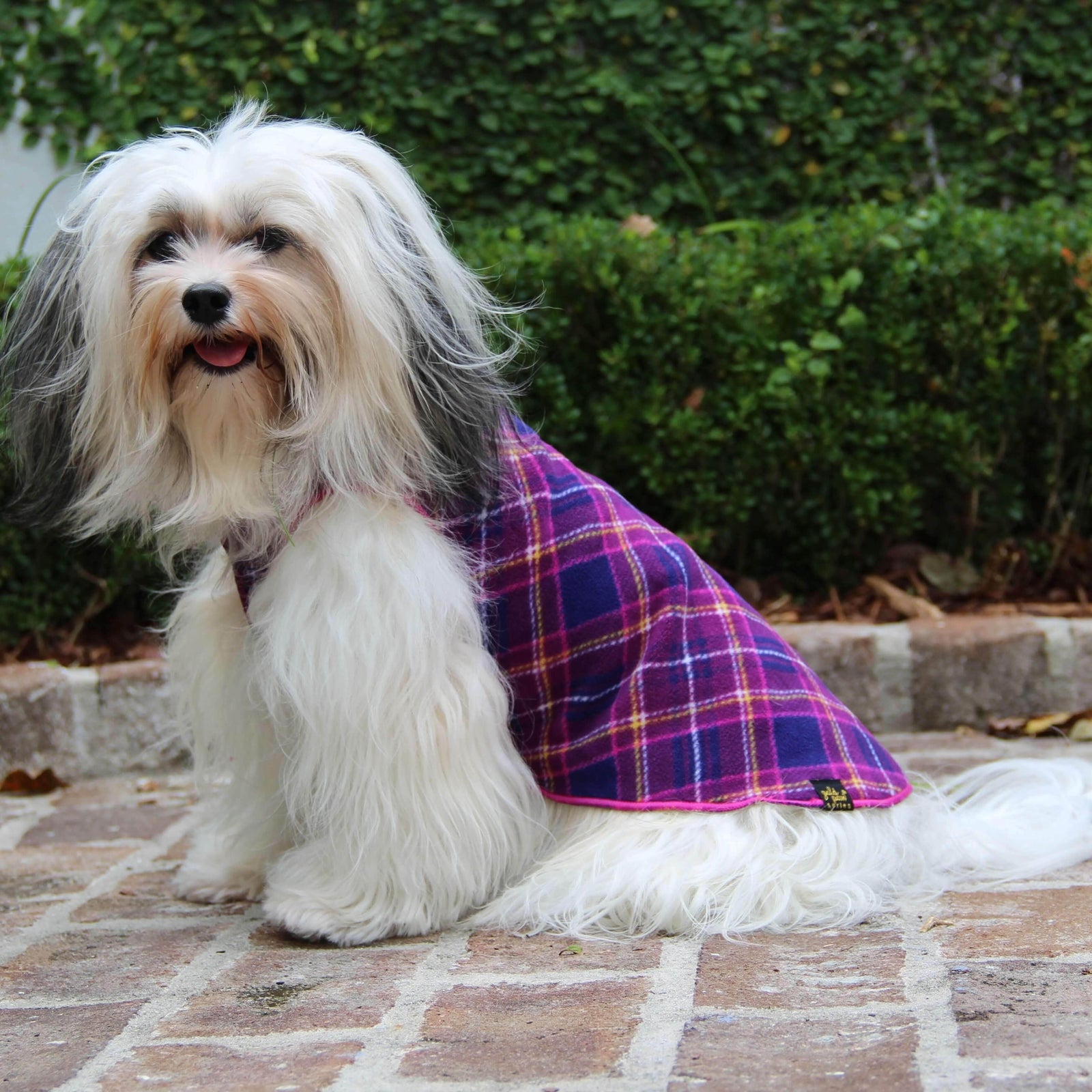 Gold Paw Stretch Fleece For Small Dogs - Mulberry Plaid - Havanese