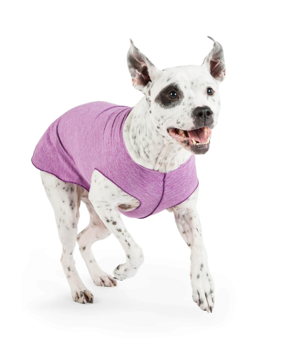 Gold Paw Series Dog Sun Shirt - Violet