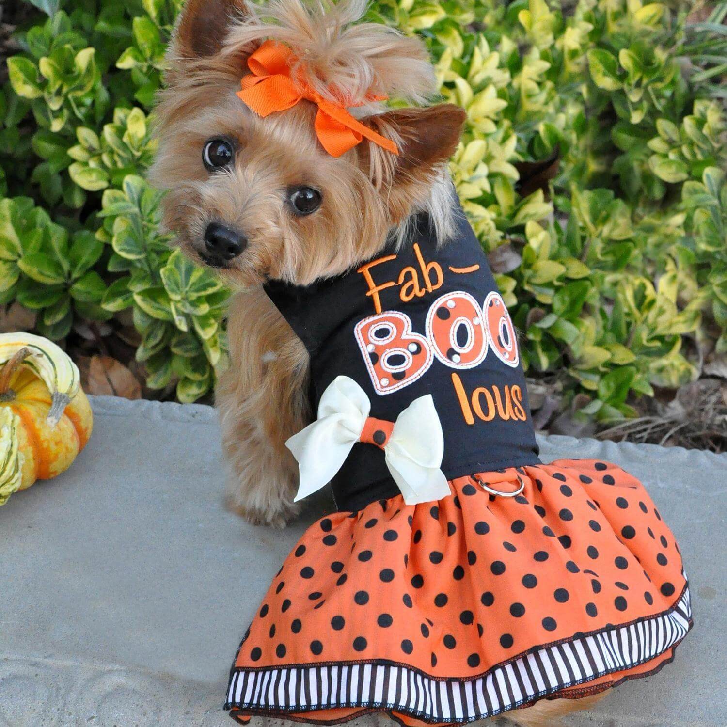 Halloween Dog Dress with Matching Leash- Fab-BOO-lous