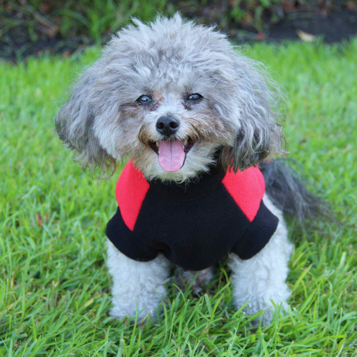 Highline Fleece Dog Coat – Step-In Warmth with Harness Access