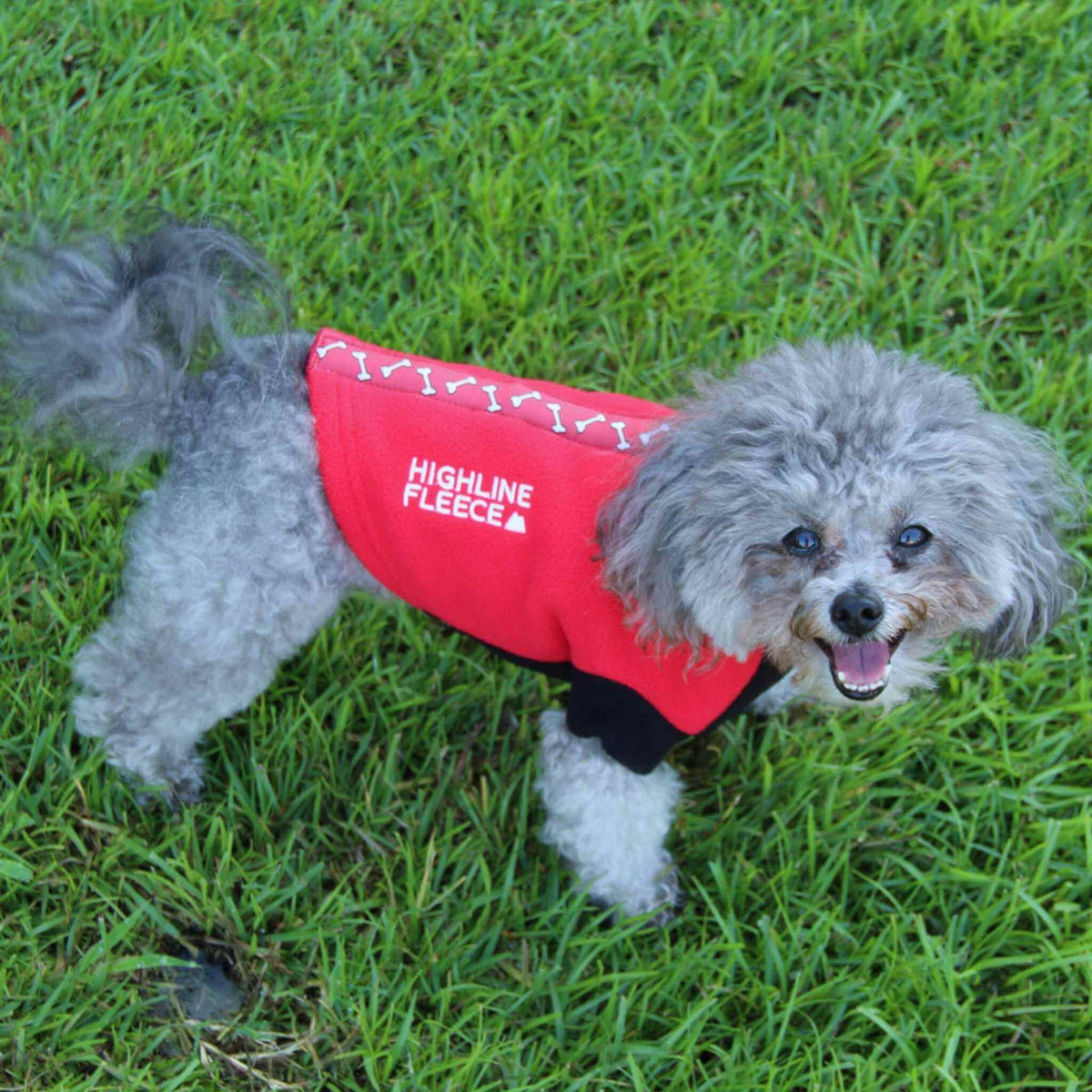 Highline Fleece Dog Coat – Step-In Warmth with Harness Access