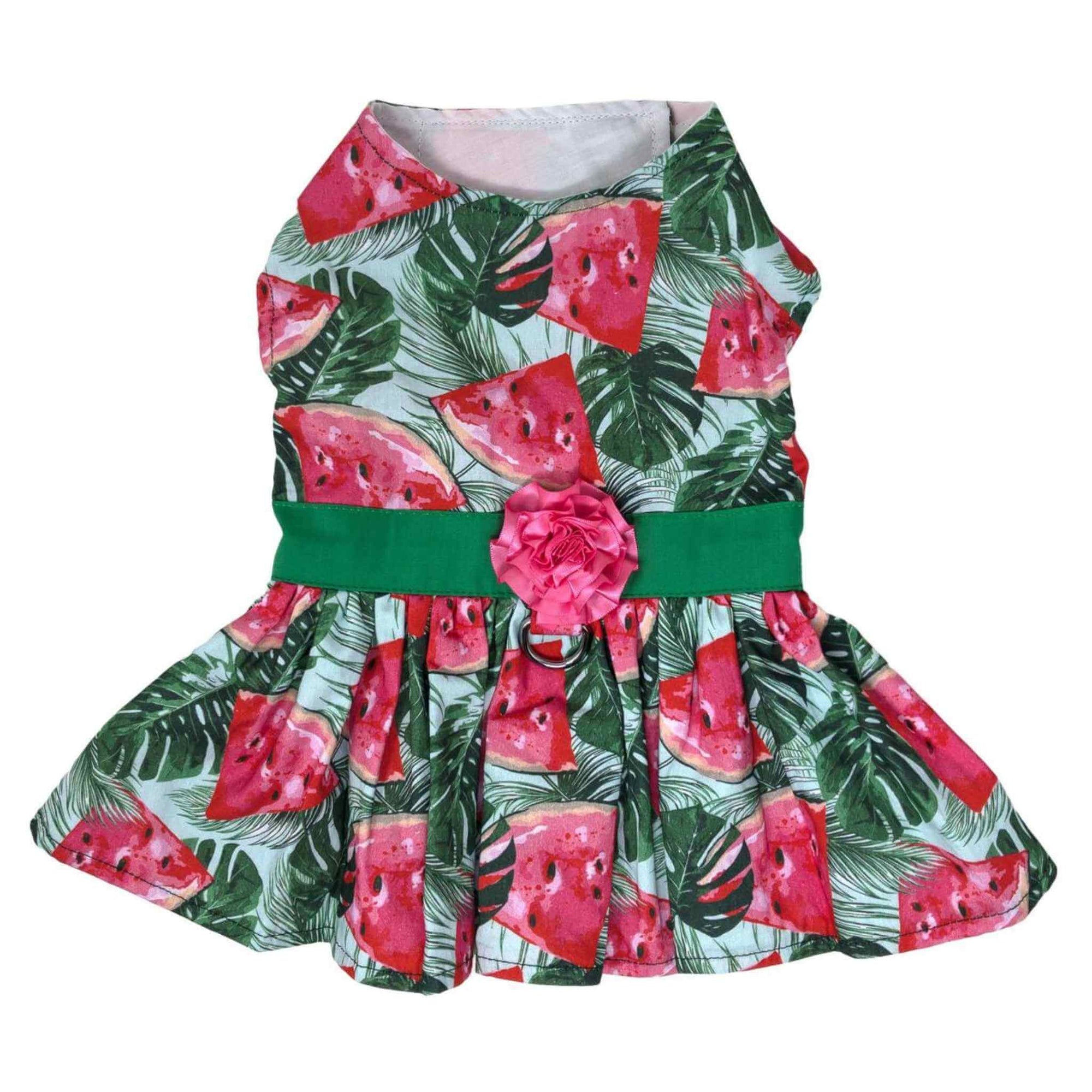 Juicy Watermelon Dog Dress with Matching Leash