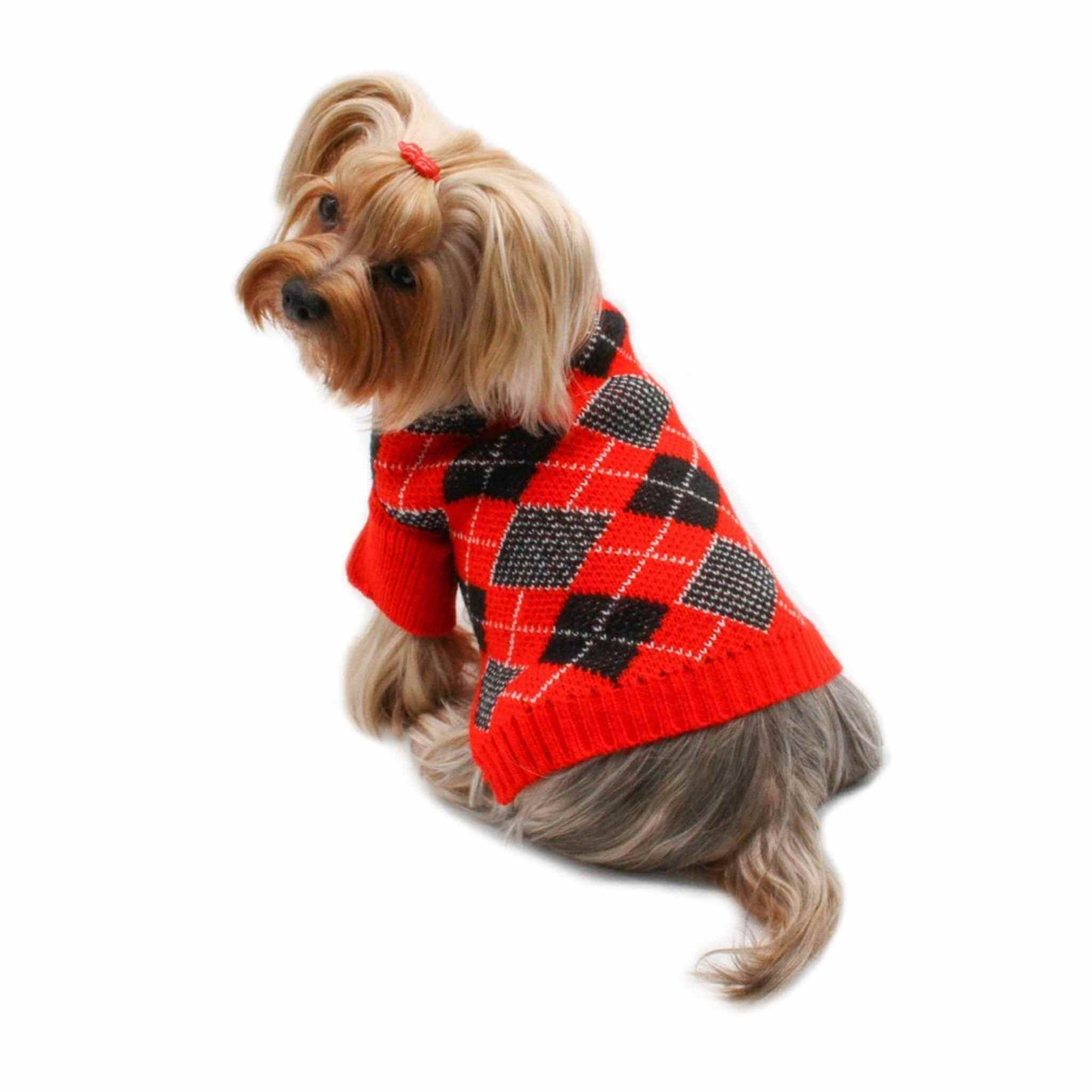 Klippo Red/Black Argyle Turtleneck Dog Sweater on a Yorkie