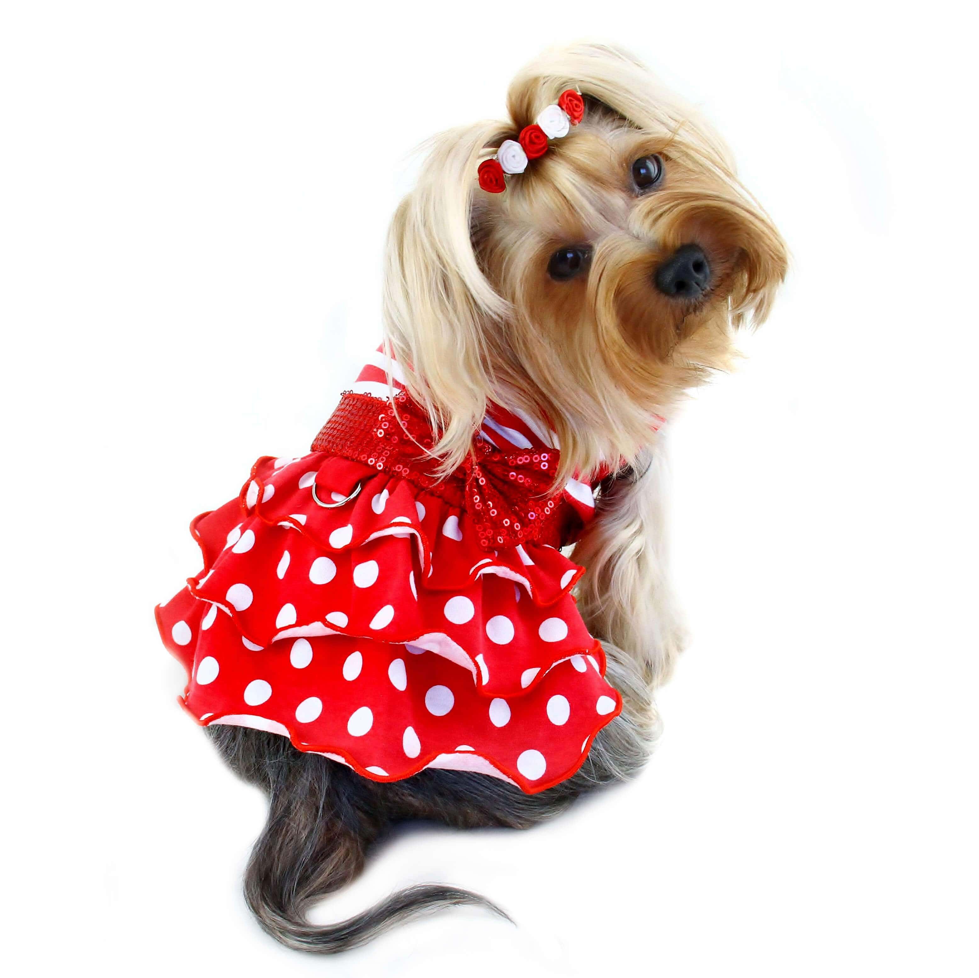 Pink Polka Dot and Lace Dog Dress Set - with Leash, Medium