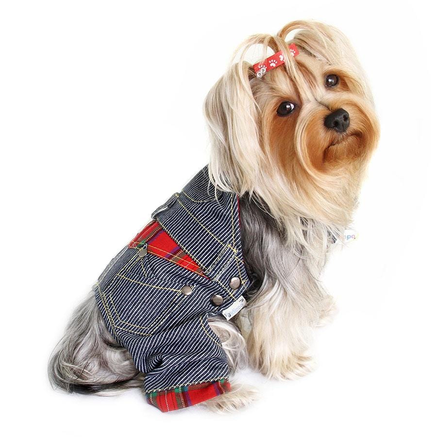 Klippo Stripy Dog Overalls on a Yorkie