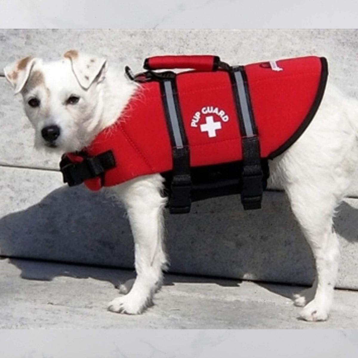 Paws Aboard Dog Life Jacket - Red - Model