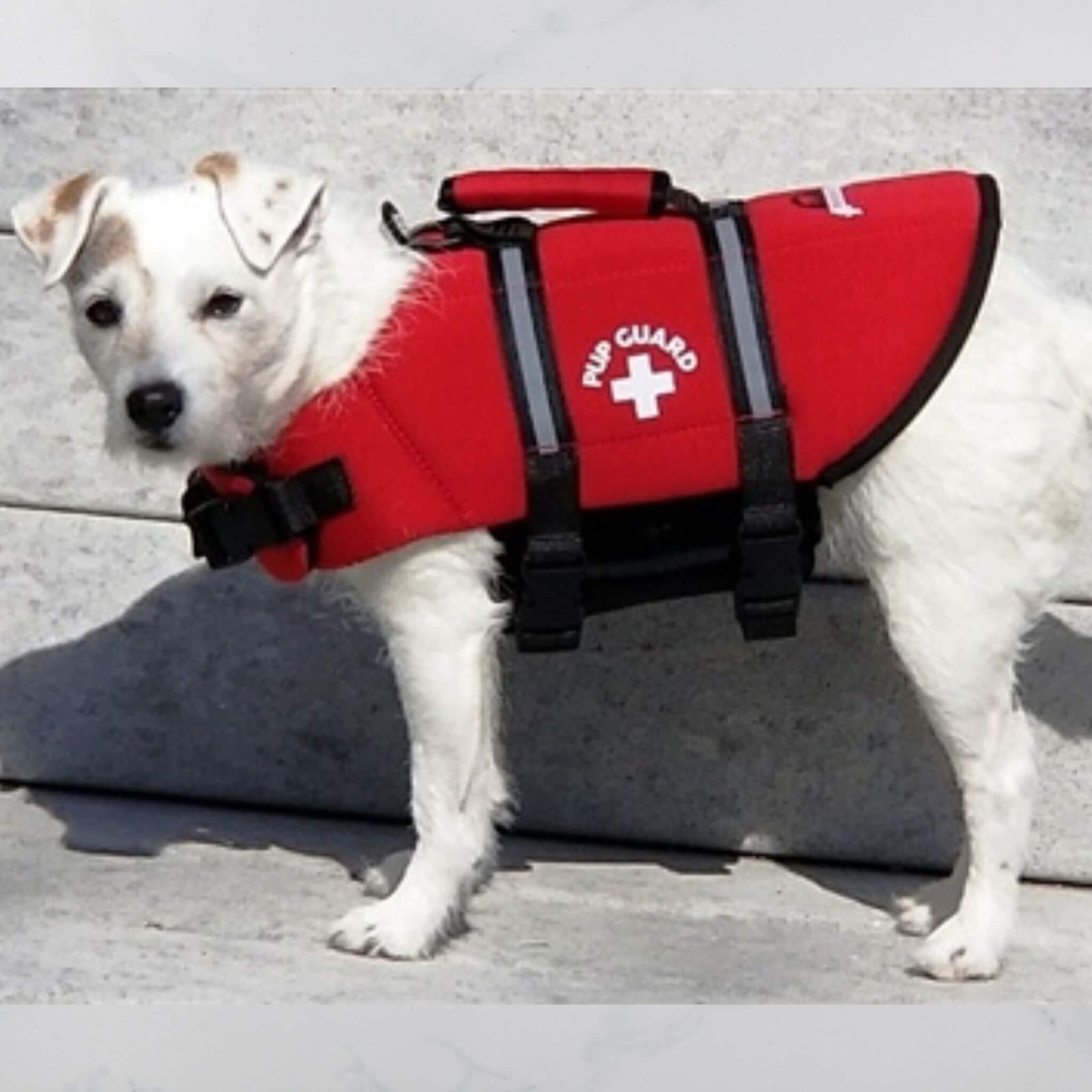 Paws Aboard Dog Life Jacket - Red - Model