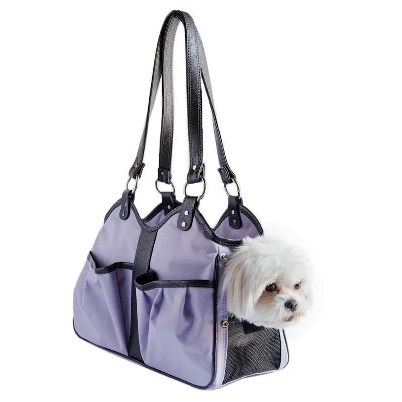 Dog carrier that looks like hotsell a purse