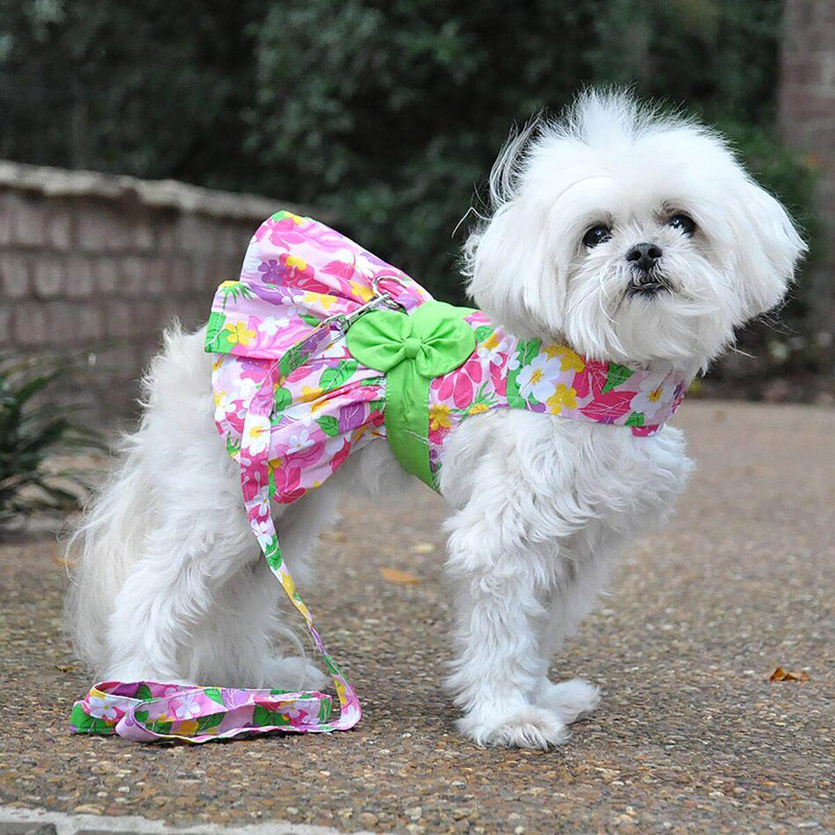 Pink Hawaiian Floral Dog Dress with Matching Leash Pink Hawaiian Floral Dog Dress with Matching Leash