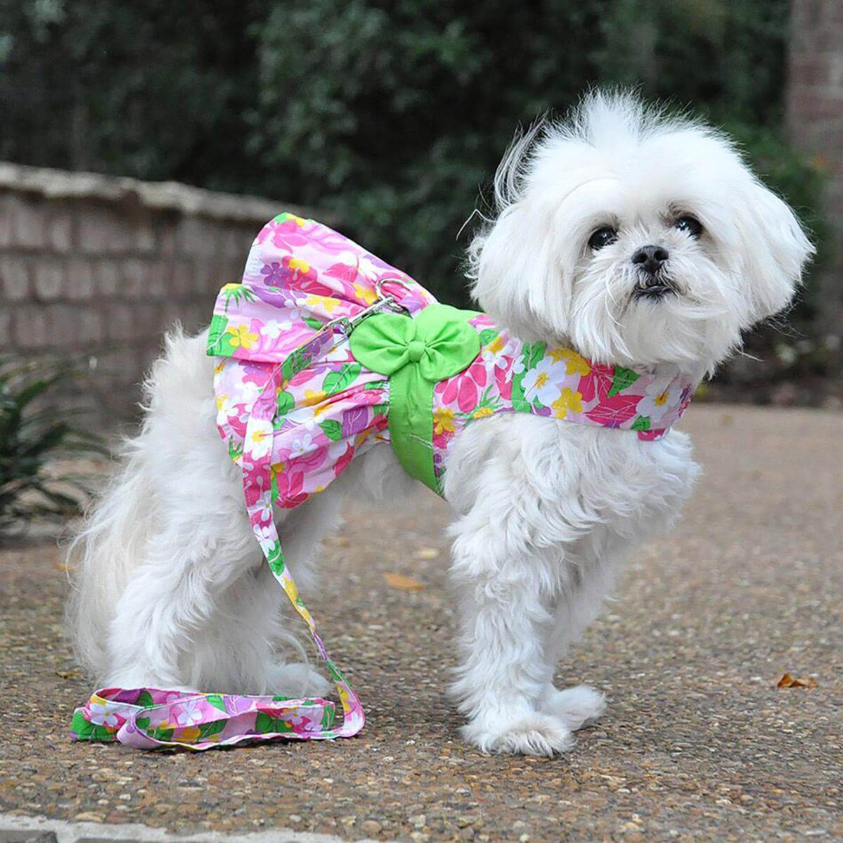 Pink Hawaiian Floral Dog Dress - Model
