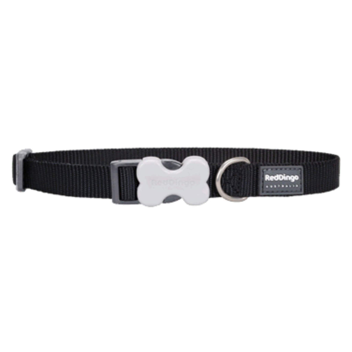 Red Dingo Small Dog Collar - Black