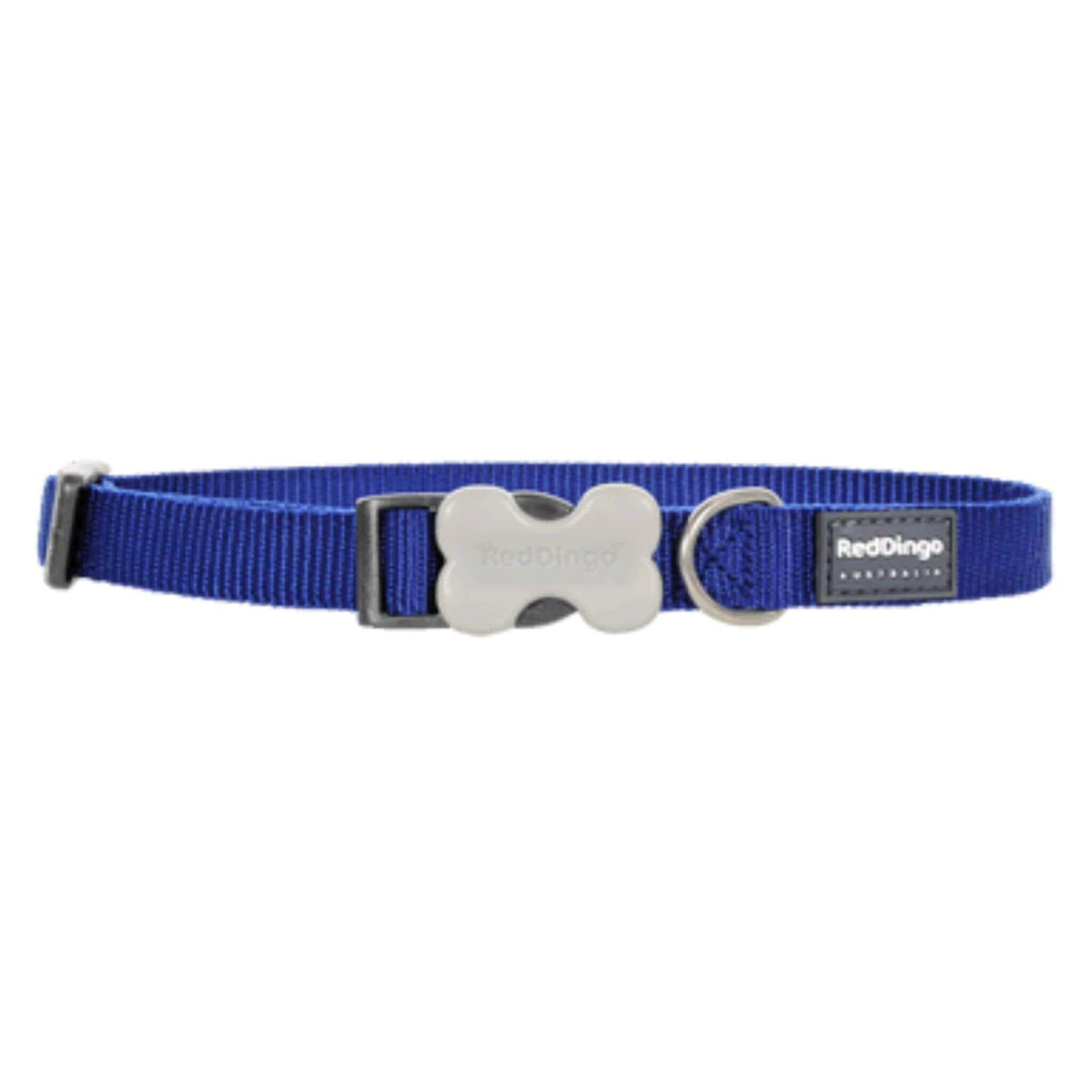 Red Dingo Small Dog Collar - Blue
