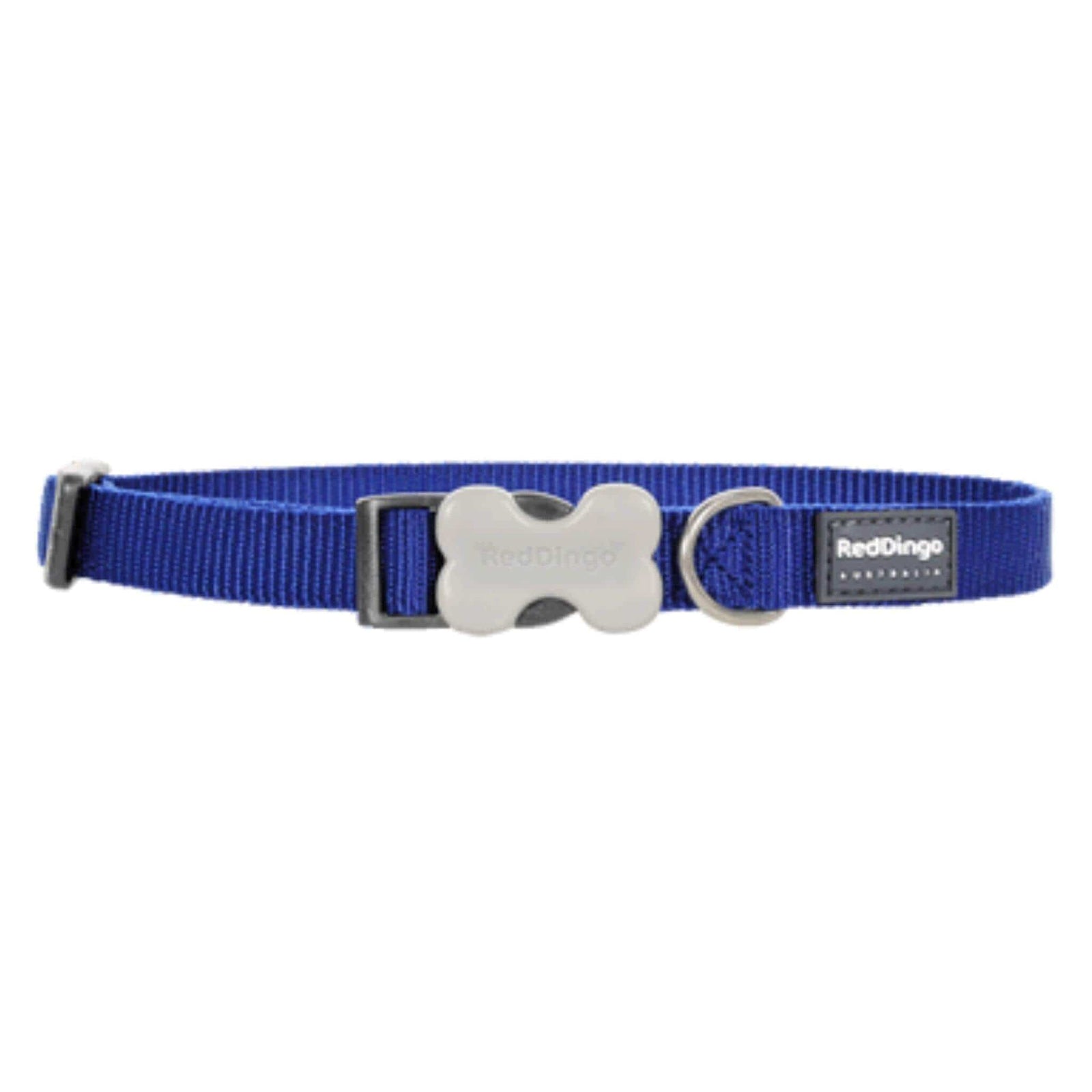 Red Dingo Small Dog Collar - Blue