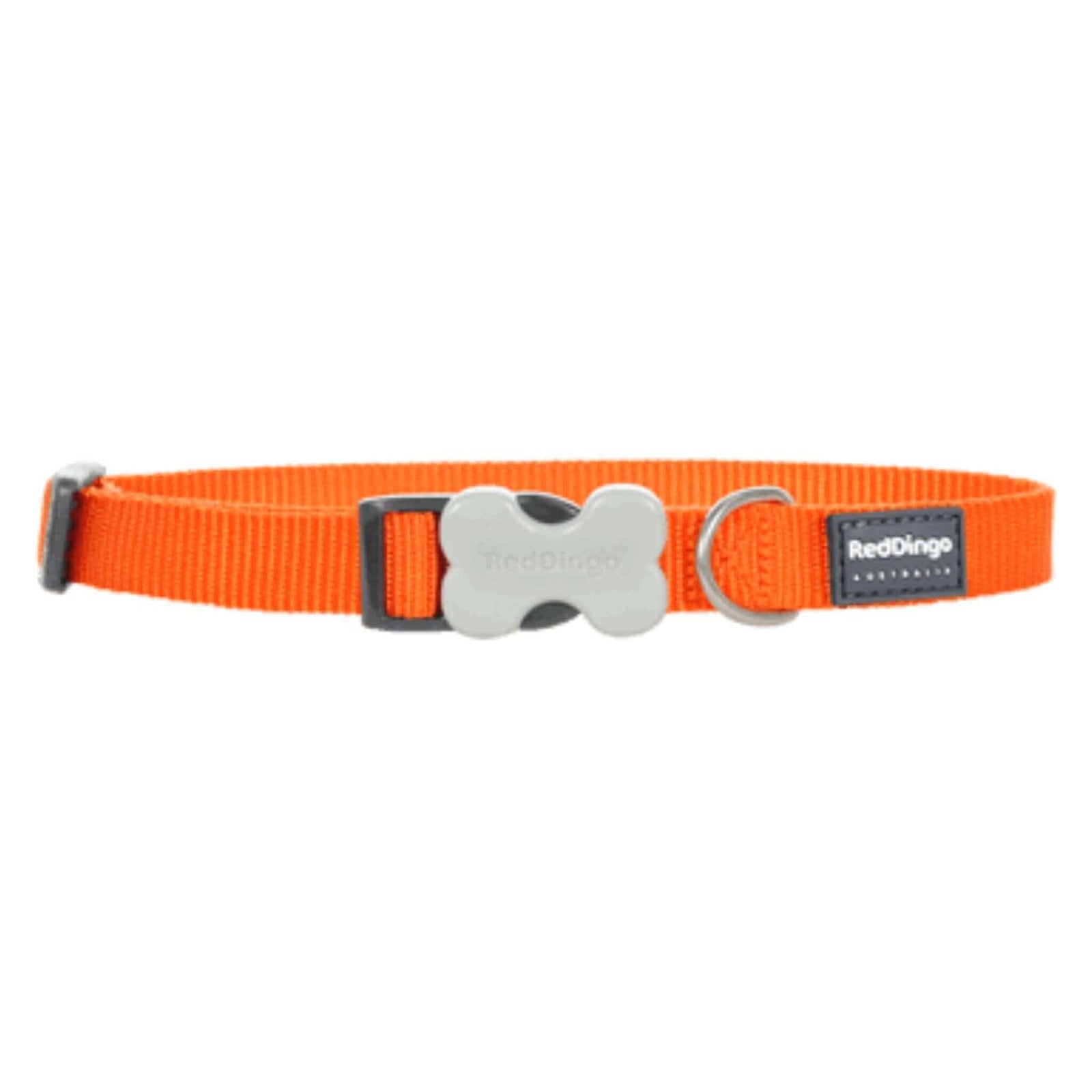 Red Dingo Small Dog Collar - Orange