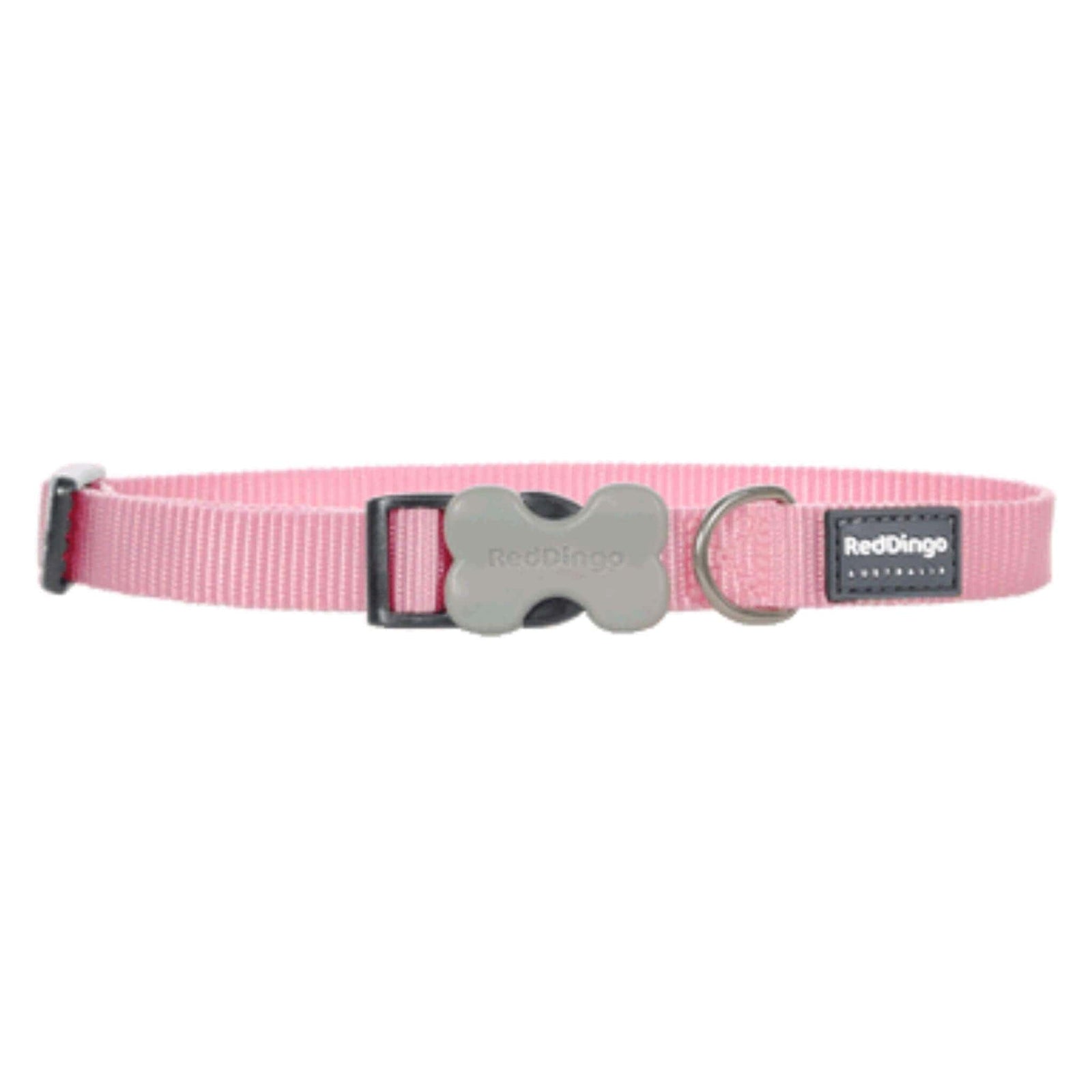 Red Dingo Small Dog Collar - Pink