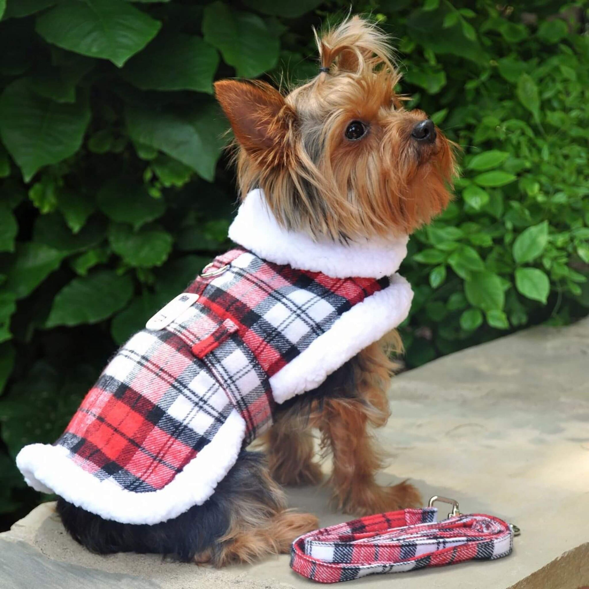 Red & White Plaid Dog Coat - Yorkie