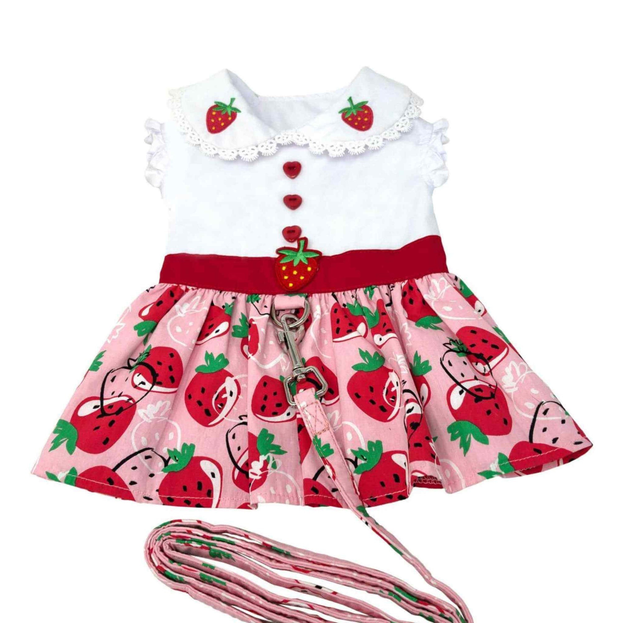 Strawberry Picnic Dog Dress with Matching Leash