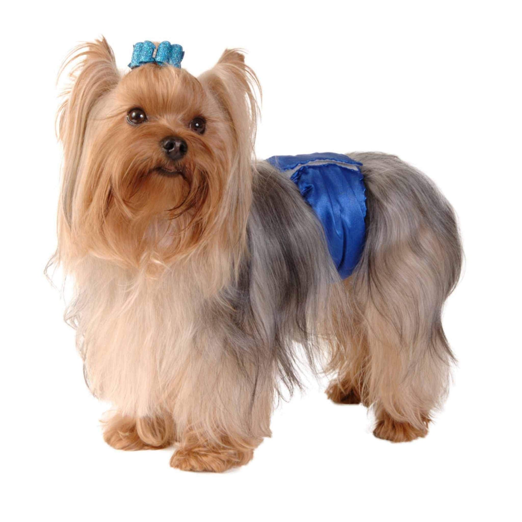 Max's Closet Washable Belly Bands for Male Dogs - Blue