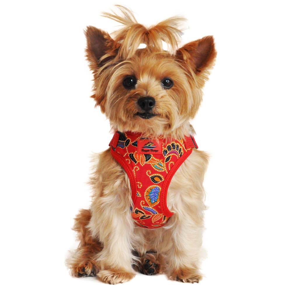 wrap and snap dog harness - tahiti red