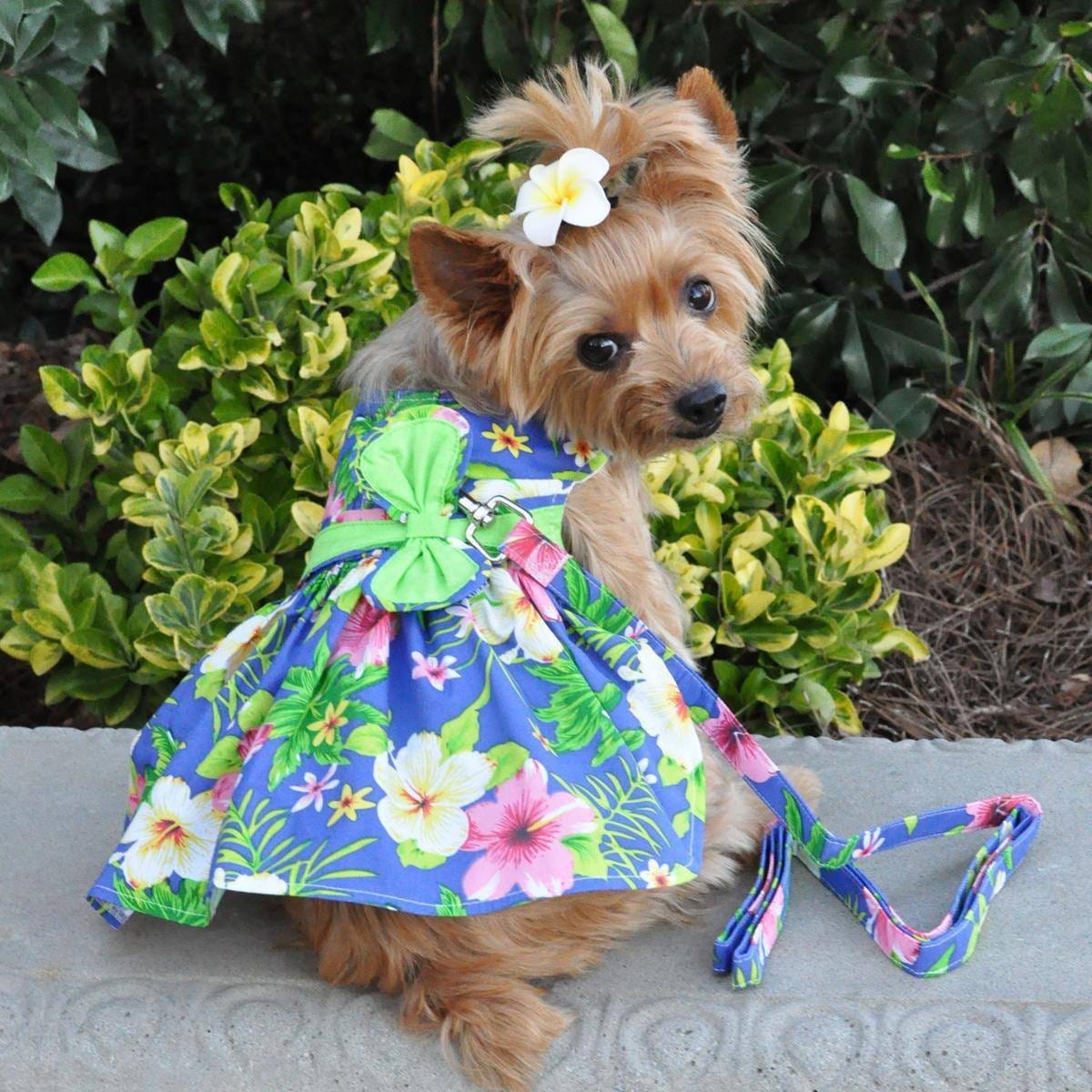 Apparel - Blue Lagoon Hawaiian Hibiscus Dog Dress With Matching Leash