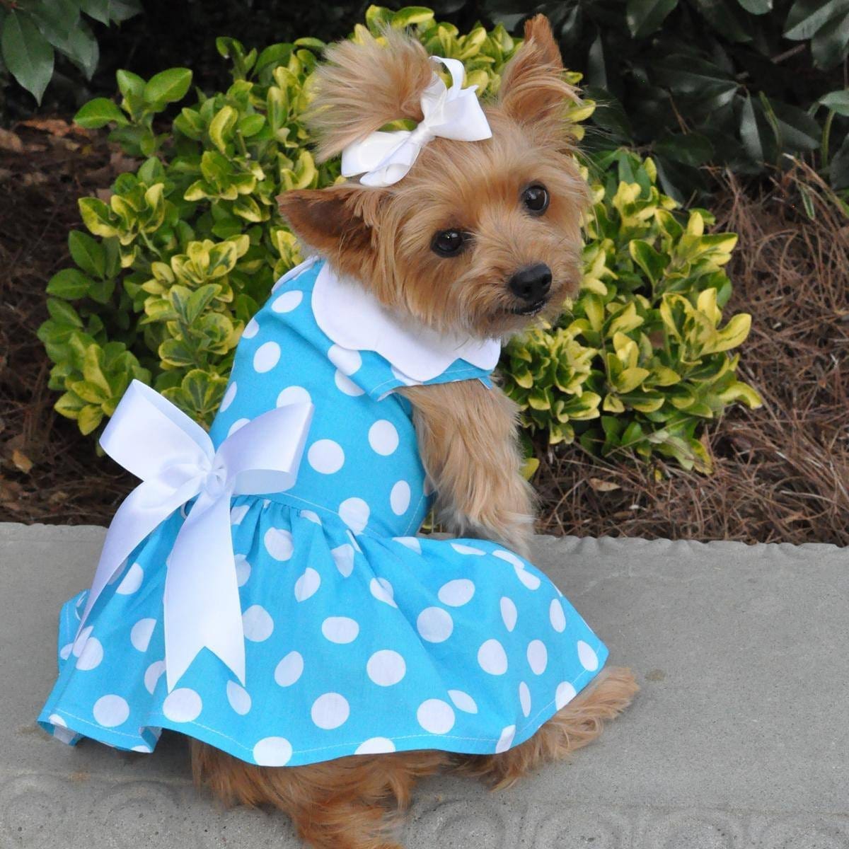Apparel - Blue Polka Dot Dog Dress With Matching Leash
