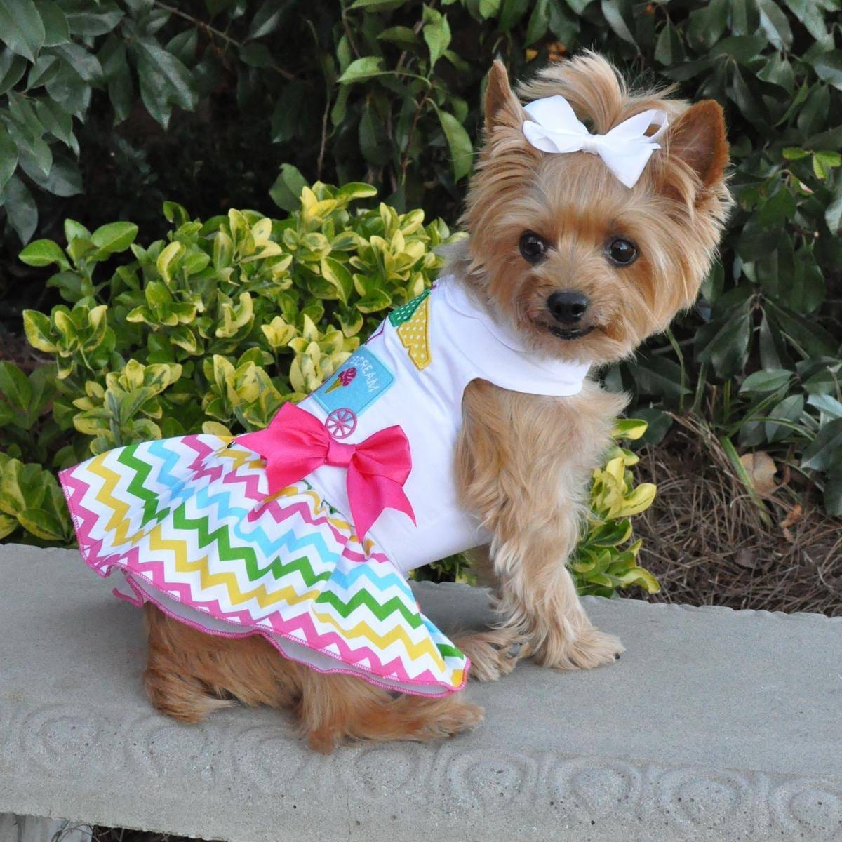 Apparel - Ice Cream Cart Dog Dress With Matching Leash