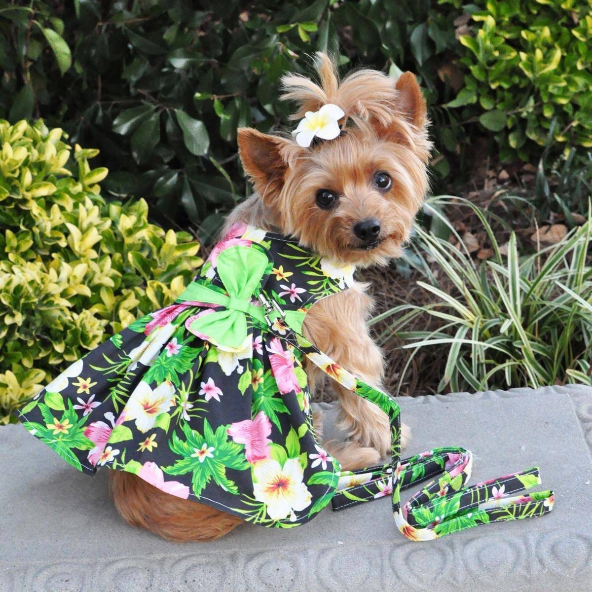 Apparel - Twilight Black Hawaiian Hibiscus Dog Dress With Matching Leash