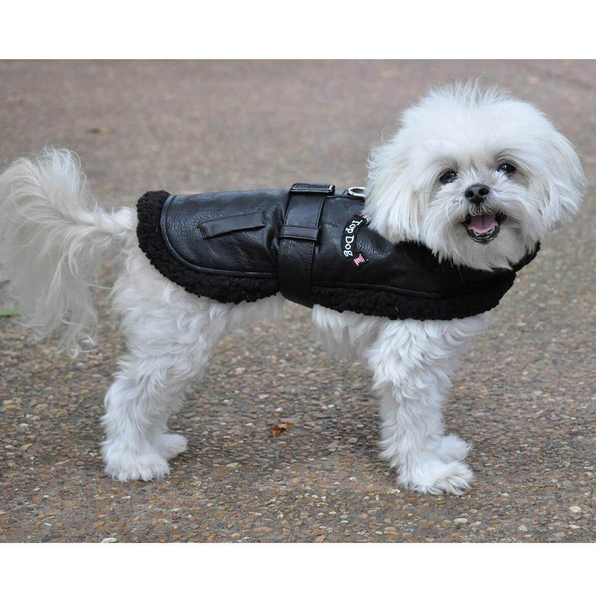 Black dog coats clearance