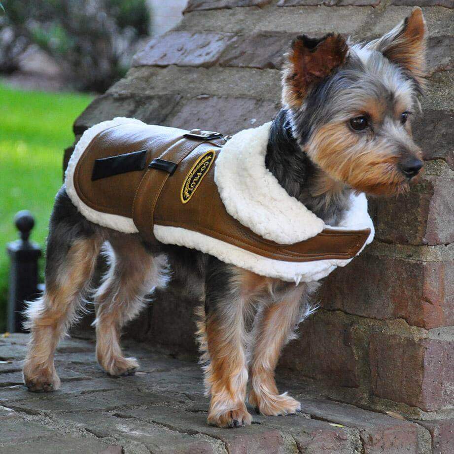 Brown & Black bomber dog coat - yorkie
