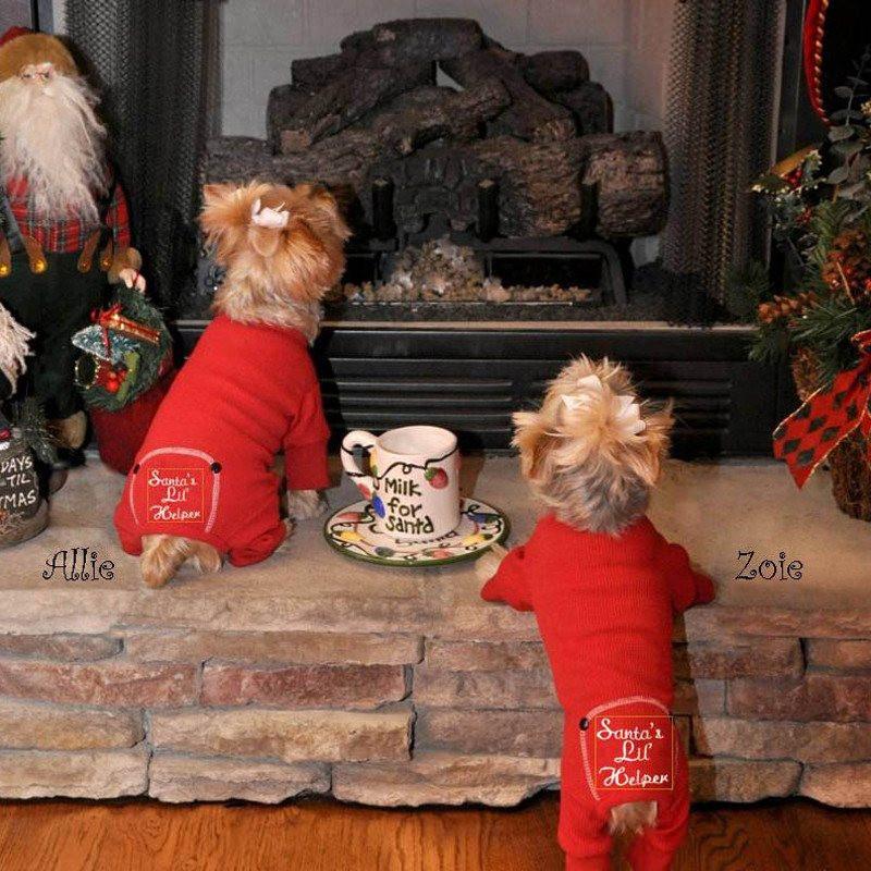 Yorkie pyjamas hotsell