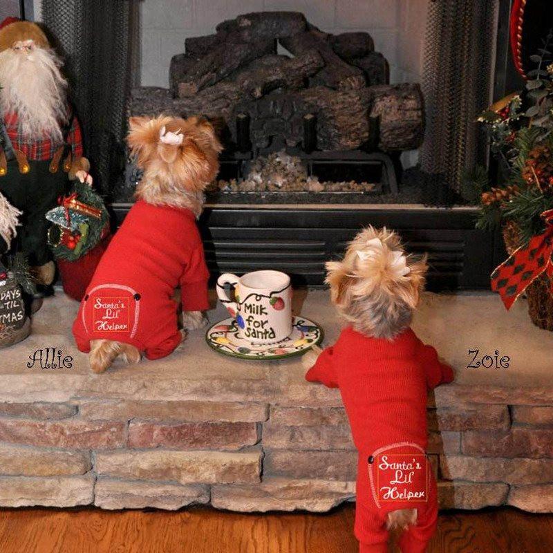 Santa's Lil Helper Dog Pajamas - Yorkies